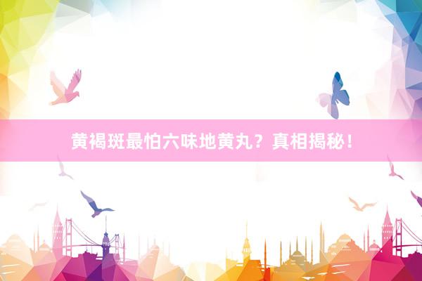 黄褐斑最怕六味地黄丸？真相揭秘！